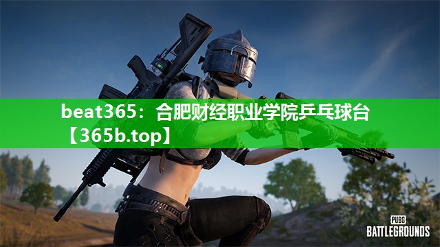 合肥财经职业学院乒乓球台 合肥财经职业学院乒乓球台